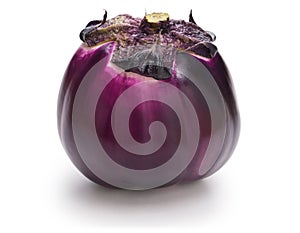 Violetta di Firenze, Italian round purple eggplant