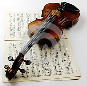 Violin