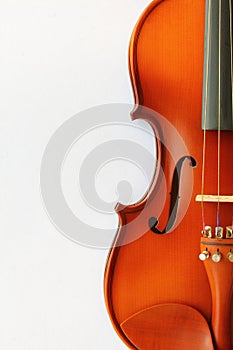 Violino 