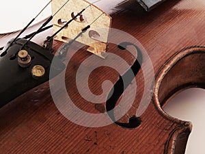 Violin