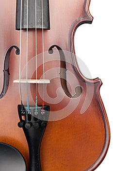 Violin