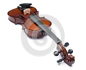 Violin