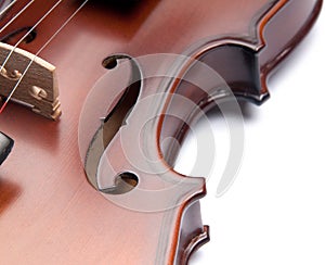 Violin