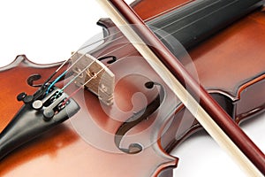 Violin