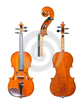 Violin