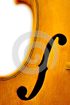 Violin