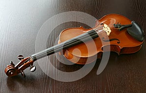 Violin