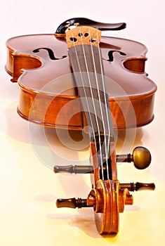 Violino 