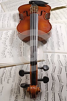 Violin