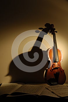 Violin