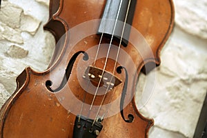 Violin