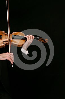 Violin