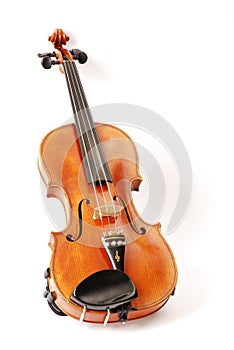 Violino 