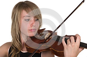 Violin