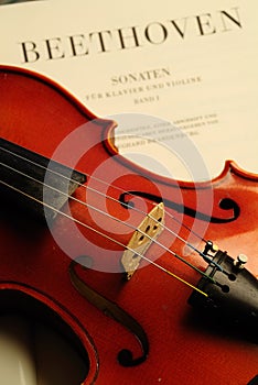 Violin photo