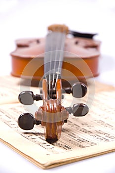 Violin