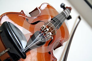 Violin