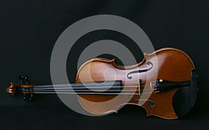 Violin