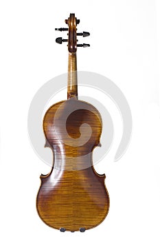Violin Back