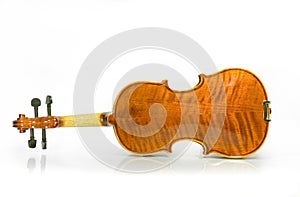 Violin back