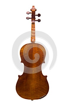 Violin Back View