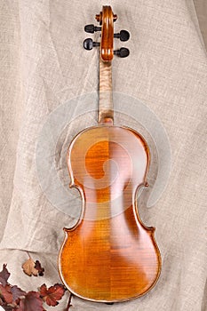 Violin back view