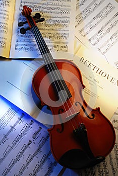 The violin (Beethoven 3) photo