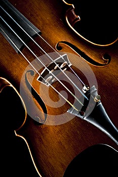 Violin on black