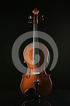 Violin on a black background