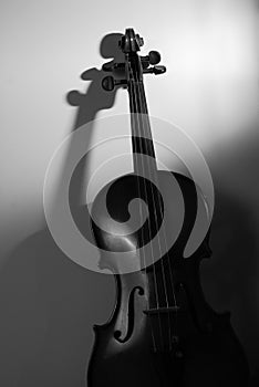 Violin in Black and White