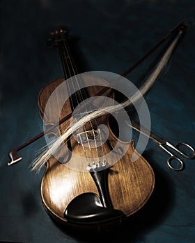 Violin and bow art