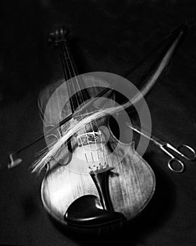 Violin and bow art