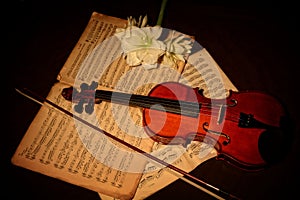 Violin and bow on music sheets