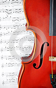 Violin classic string instrument
