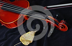 Violin classic string instrument