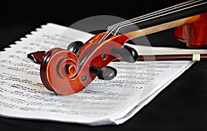 Violin classic string instrument