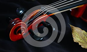 Violin classic string instrument