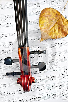 Violin classic string instrument