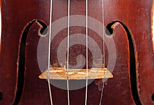 Violin