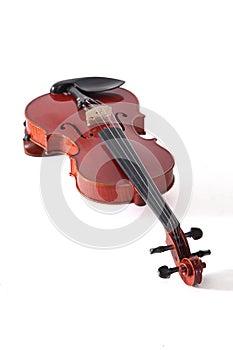 Violin classical music instrument