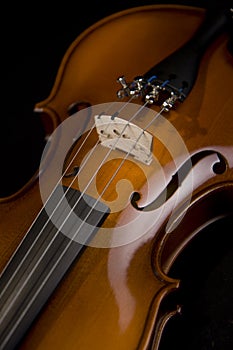 Violin Close