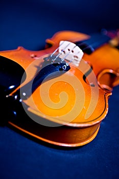 Violin close-up