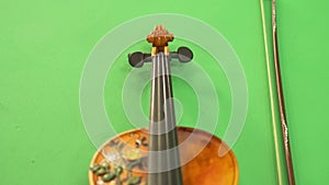 violin close-up on a green background