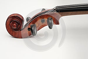 Violin Close Up View on White Background