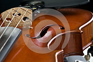 Violin closeup