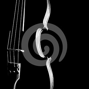 Violin closeup
