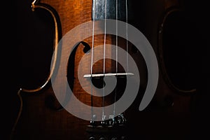 Violin closeup isolated on black