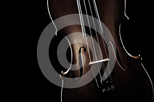 Violin closeup strings musical instruments