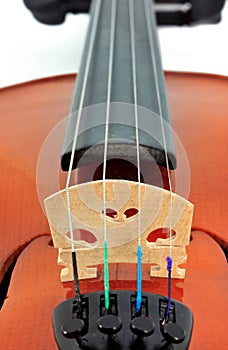 Violin detail photo