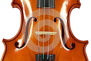 Violin detail